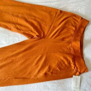 NWT Retroplush Straight Leg sweatpants